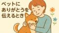 【ペットにも“ありがとう”を。大切な家族を見送るときに考えたいこと】