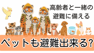 🐾 ペット避難まとめ｜大切な家族を守るためにできること