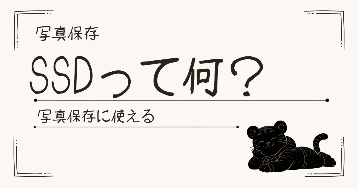 外付けSSDって何？写真保存に使える？