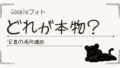 Googleフォトの写真はどれが本物？Takeout後に迷った話と見分け方