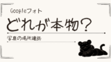 Googleフォトの写真はどれが本物？Takeout後に迷った話と見分け方