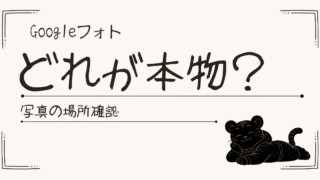 Googleフォトの写真はどれが本物？Takeout後に迷った話と見分け方