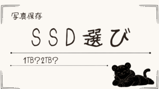 写真保存に使う外付けSSDの選び方｜1TBと2TBどっち？