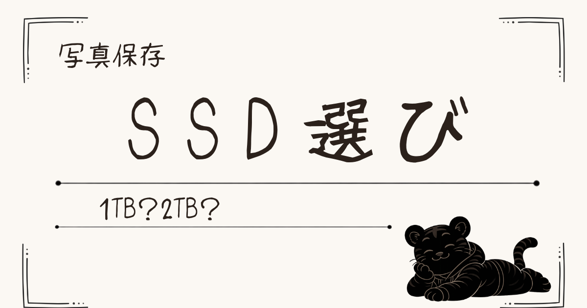 写真保存に使う外付けSSDの選び方｜1TBと2TBどっち？