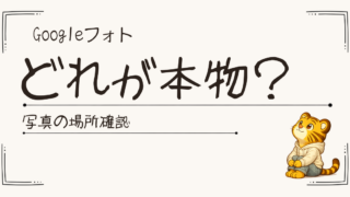 Googleフォトの写真はどれが本物？Takeout後に迷った話と見分け方