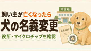 飼い主が亡くなった犬はどうする?名義変更と引き継ぎ手続き