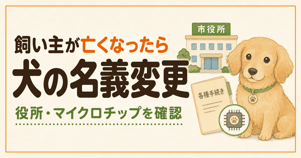 飼い主が亡くなった犬はどうする？名義変更と引き継ぎ手続き