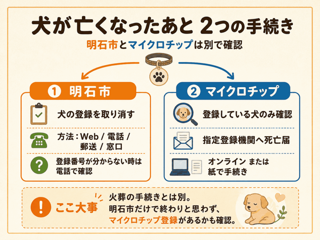犬が亡くなったあとに必要な2つの手続きを図解した画像。明石市への届出と、マイクロチップ登録がある場合の確認は別で進めることを、項目ごとに整理している