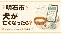 犬が亡くなったあと、明石市で何する？死亡届を順番に整理