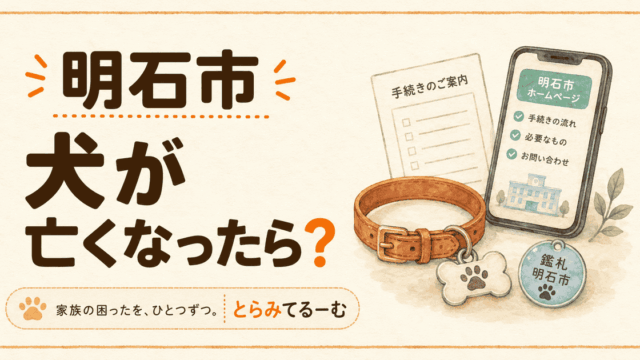 犬が亡くなったあと、明石市で何する？死亡届を順番に整理